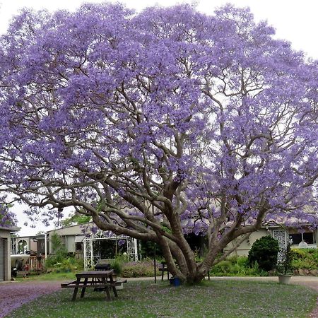 Ecotel Narooma North Narooma Kültér fotó