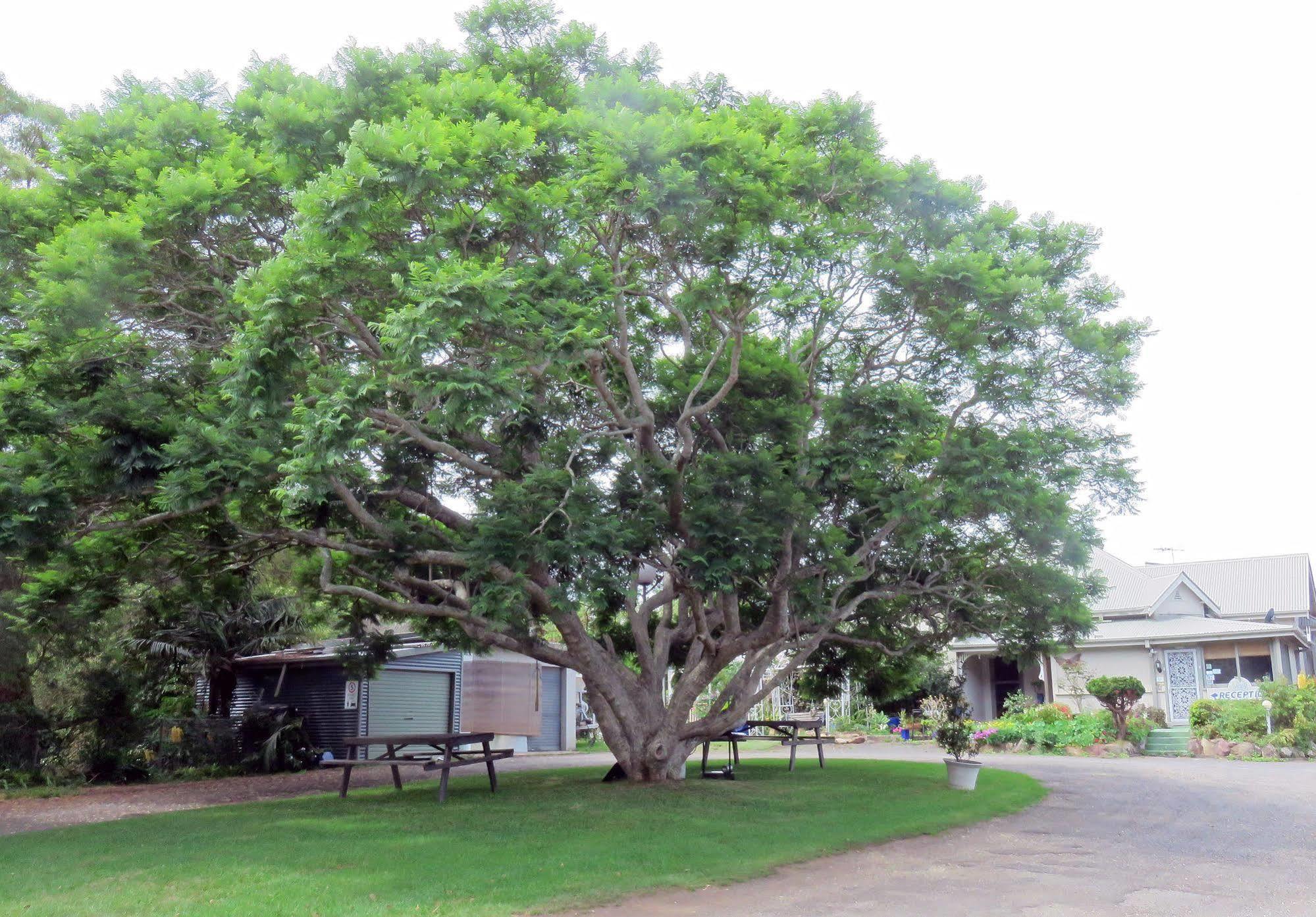 Ecotel Narooma North Narooma Kültér fotó